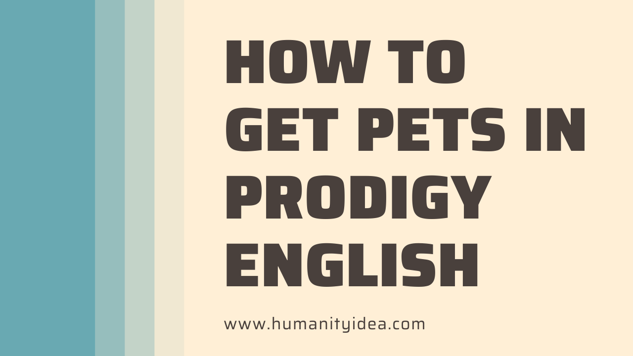 How to Get Pets in Prodigy English